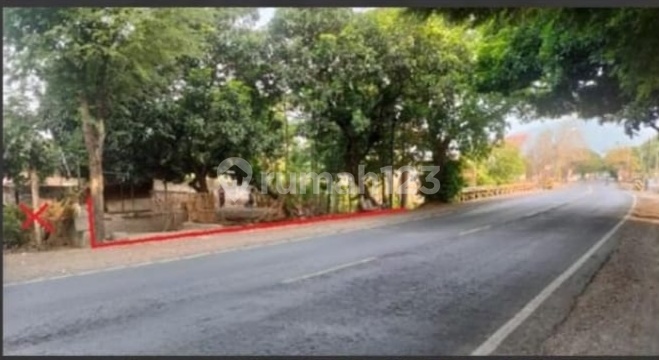 Tanah dan Rumah Raya Situbondo Banyuwangi Murah Tanah dan Rumah Raya Situbondo Banyuwangi Murah