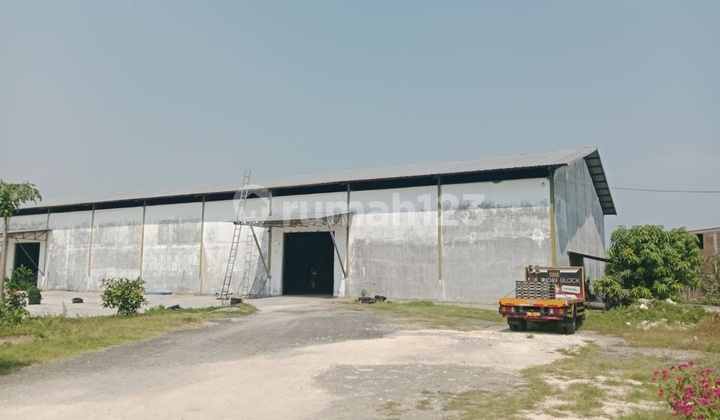 Ex-Factory Warehouse in Kalitengah W0804 Lamongan Cheap Ex-Factory Warehouse in Kalitengah W0804 Lamongan Cheap
