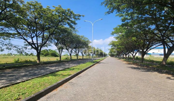 Tanah Di Kawasan Induatri Socorejo Jenu Tuban Murah 