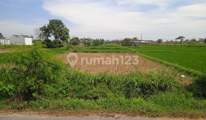Tanah Sawah 2076 Meter Persegi Lokasi Dekat Candi Prambanan Klaten.
