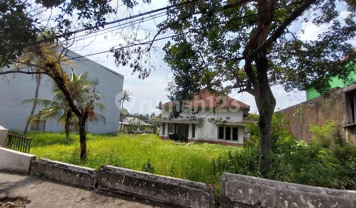 Land and Buildings 2