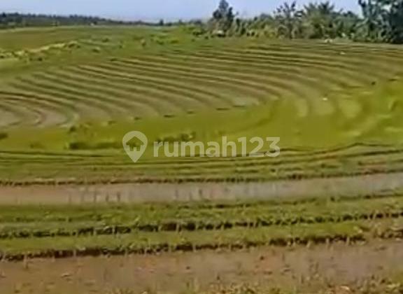 For Sale 1000m2 Land in Bajera, Tabanan, Bali