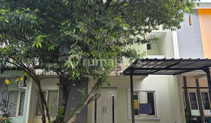 DIJUAL/SEWA Rumah di Cluster New Jasmine (KT 4+1)