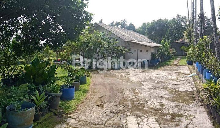 TANAH DAN VILLA SUKADAMAI DRAMAGA KABUPATEN BOGOR JAWA BARAT 2