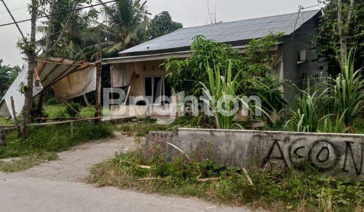 RUMAH DAN TANAH DI BANDAR KLIPPA 1