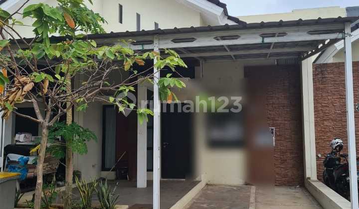 Disewakan Rumah Cluster Asri Nyaman