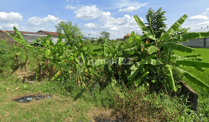 Tanah di Kalasan Yogyakarta  1