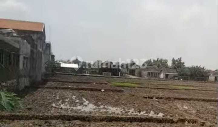 Tanah Sawah Lokasi Kemiri Kebakkramat  1