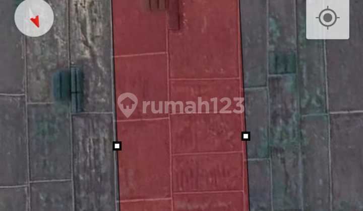 Two SHM Paddy Fields in Jaten Two SHM Paddy Fields in Jaten