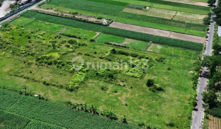 Tanah Zona Industri Prambanan