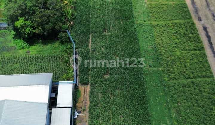 Tanah Zona Industri di Ceper Klaten 