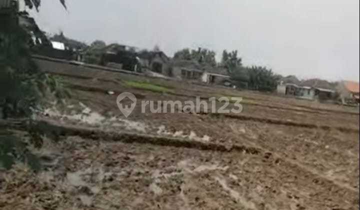 Tanah Sawah Lokasi Kemiri Kebakkramat  2