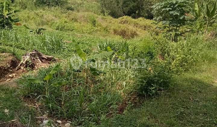 For Sale: Cultivated Land with Buntar Road Access, Mojogedang For Sale: Cultivated Land with Buntar Road Access, Mojogedang