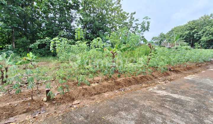 Tanah Pekarangan di Kebakkramat 65jt  1