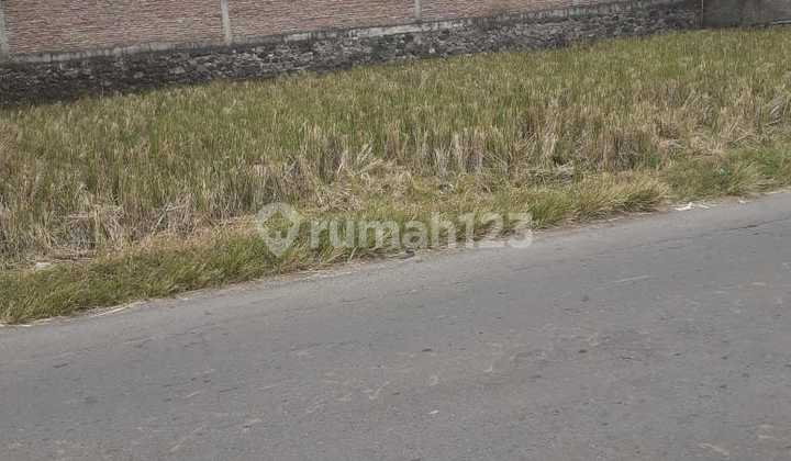 Tanah Dengan Akses Jalan Lebar di Tasikmadu Karanganyar  1