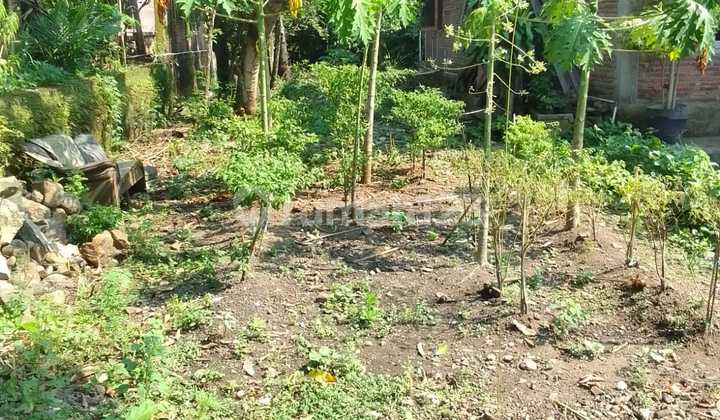 Tanah Pekarangan Lokasi Kaliwuluh Kebakkramat  1