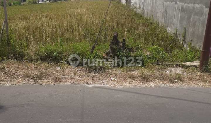 Tanah Pekarangan Lokasi Tasikmadu  Karanganyar  1