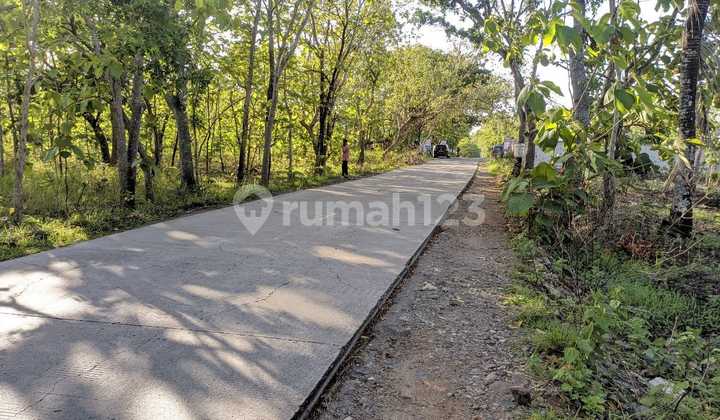 Tanah Tegalan Zona Hijau  2