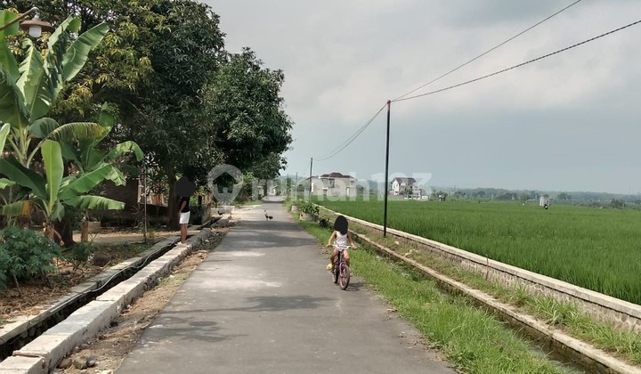 For Sale Comfortable House with Spacious 444m² Land in Kebakkramat 2