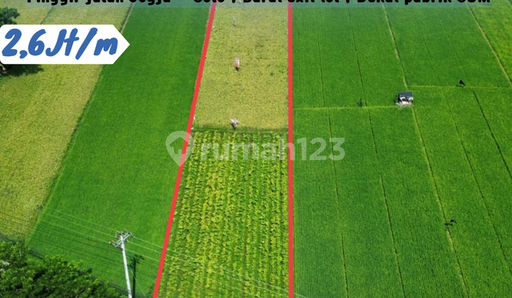 Dijual Sawah Lokasi Sanggrahan, Prambanan 