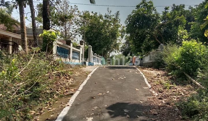 For Sale: 2-Front Road Vacant Land in Kedung Jeruk, Mojogedang For Sale: 2-Front Road Vacant Land in Kedung Jeruk, Mojogedang