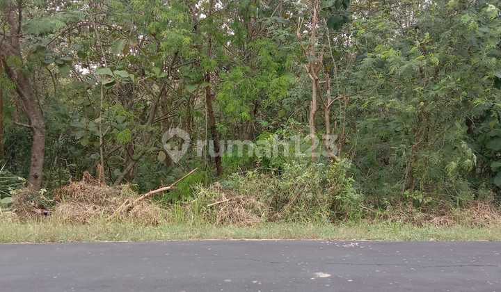 For Sale: Yard Land Near Waterboom Pitik Cilik Mojogedang