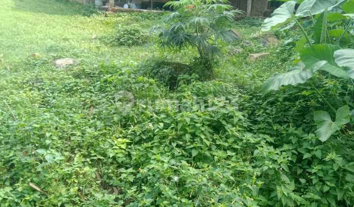 Kedungjeruk House, Mojogedang, Karanganyar Kedungjeruk House, Mojogedang, Karanganyar