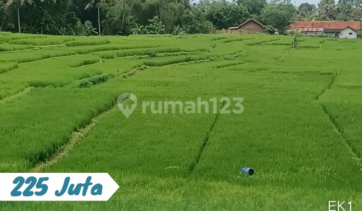 Dijual Tanah Sawah Lokasi Karangpandan Karanganyar