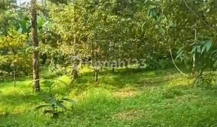 Dijual Tanah Dekat Birono, Gemantar, Kec. Jumantono, Kabupaten Karanganyar Dijual Tanah Dekat Birono, Gemantar, Kec. Jumantono, Kabupaten Karanganyar
