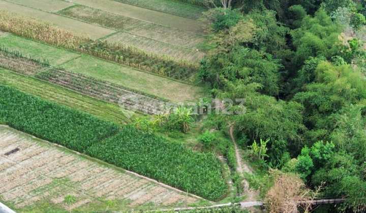 Dijual Tanah di Zona Industri Klaten 4.5 Hektar