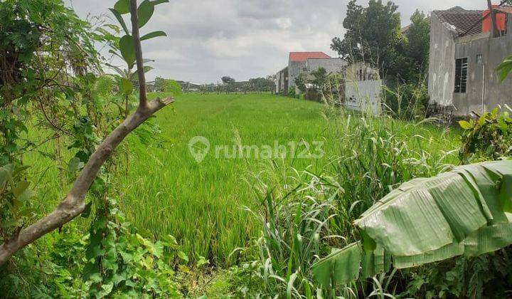 Tanah Sawah Lokasi Jaten Karanganyar  1