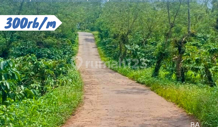 Dijual Kawasan Zona Kuning Perkotaan Semarang 1