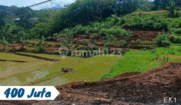 Dijual Tanah Sawah Lokasi Karangpandan - Dekat Fasum - Luas 1500M - Harga 400Jt