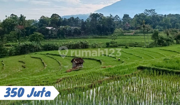 Dijual Tanah Sawah Lokasi Karangpandan Karanganyar
