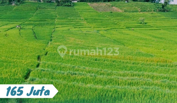 Dijual Tanah Lokasi Karangpandan Status Pekarang