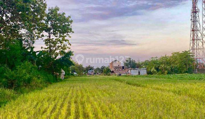 Tanah Pekarangan kering Dan Tanah Sawah Sukoharjo  1