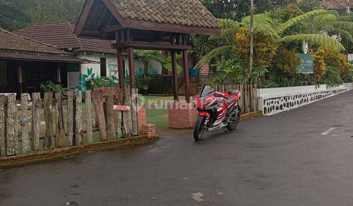 Dijual Resto New Senja Jingga and Coffee  1