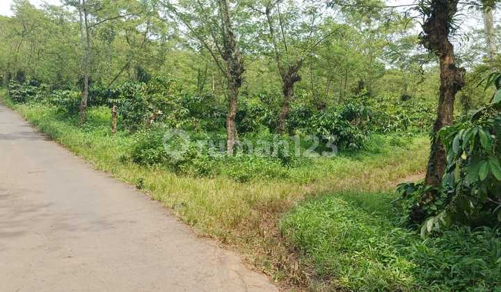 Dijual Kawasan Zona Kuning Perkotaan Semarang 2