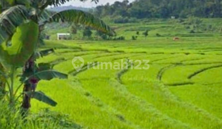 Dijual Tanah Lokasi Karangpandan