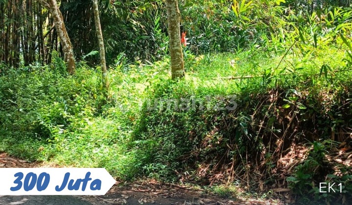 Dijual Tanah Status Tegal Lokasi Ngargoyoso Karanganyar Dijual Tanah Status Tegal Lokasi Ngargoyoso Karanganyar