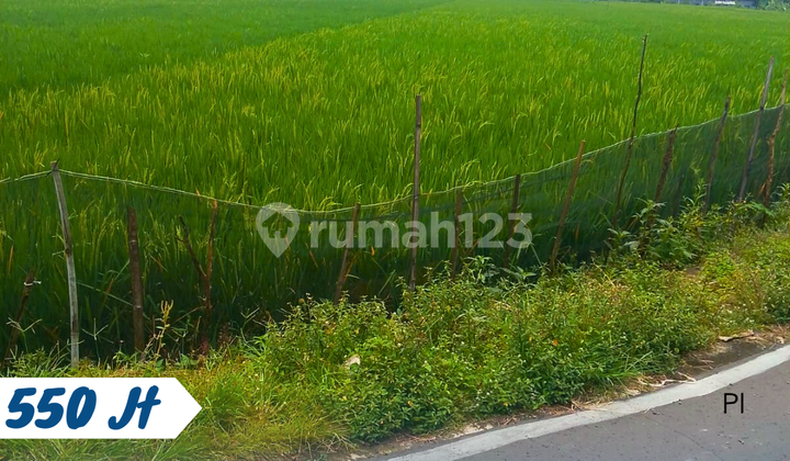 Dijual Sawah di Sroyo Jaten Karanganyar Dijual Sawah di Sroyo Jaten Karanganyar