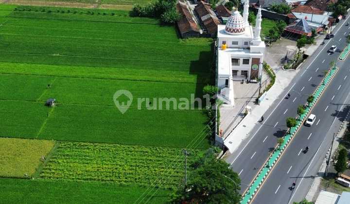 Dijual Sawah Lokasi Sanggrahan, Prambanan 