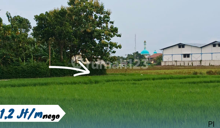 Jual Tanah Pekarangan di Kemiri, Kebakkramat