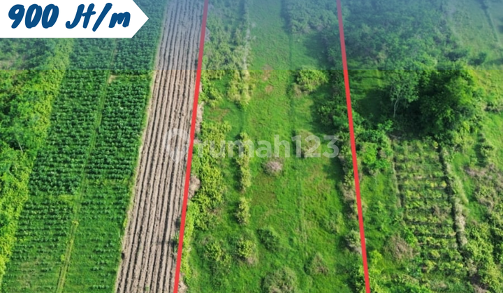 Dijual Tanah Lokasi Beku, Karanganom, Klaten