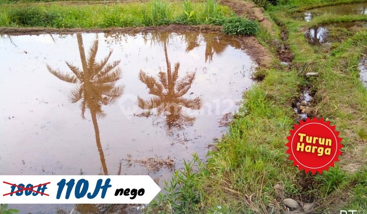 Dijual Tanah Sawah Lokasi Cisaat Sukabumi