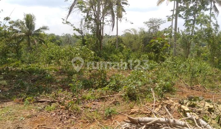 Land for Sale in Tegal, Area approximately 1.2 hectares Land for Sale in Tegal, Area approximately 1.2 hectares