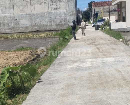 Sawah Zona Kuning di Klaten  2