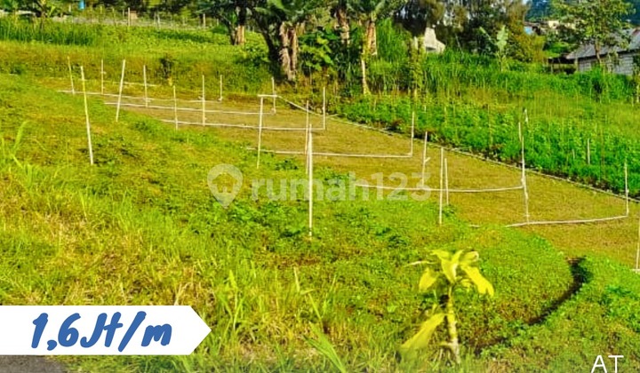 Dijual Tanah Pekarangan Lokasi Tawangmangu Karanganyar