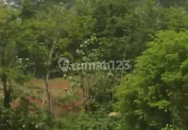 Land for sale in Tegal, Jatipuro location. Land for sale in Tegal, Jatipuro location.