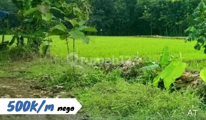 Dijual Tanah Sawah Lokasi Bejen Karanganyar Kawasan Perumahan